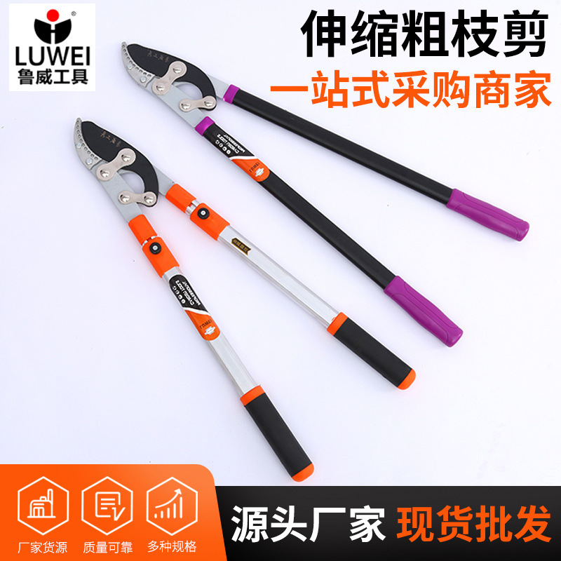 高园林果树修枝剪伸缩剪园艺粗枝剪园林绿化工具